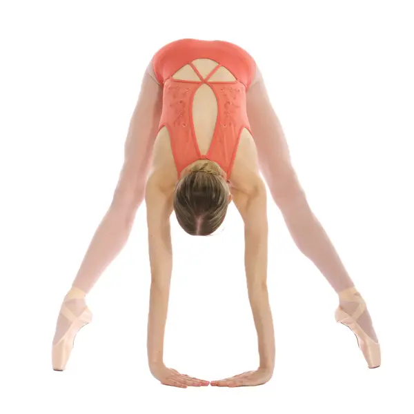 Bloch Cassia Floral Leotard, Damen-Trikot mit besticktem Mesh am Rücken Bloch Cassia Floral Leotard, Damen-Trikot mit besticktem Mesh am Rücken