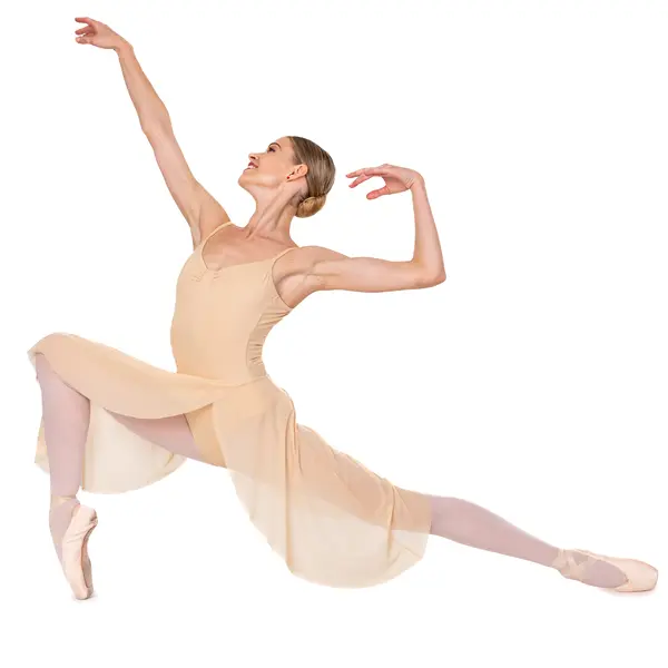 Hadlee, Damenrock Hadlee, Damenrock