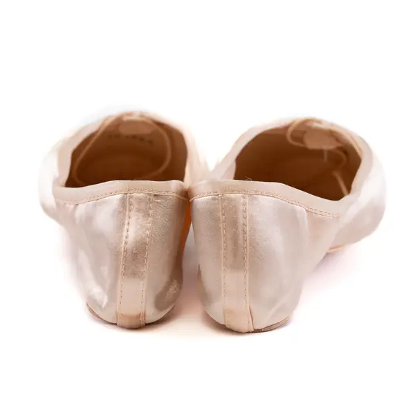 Bloch Synthesis, Stretch-Ballettspitzenschuhe