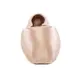 Capezio Develope 5.5, Ballettspitzenschuhe