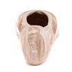 Capezio Develope 5.5, Ballettspitzenschuhe Capezio Develope 5.5, Ballettspitzenschuhe