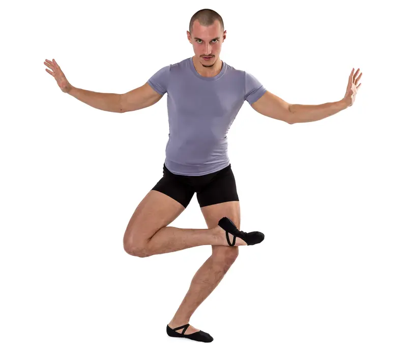 Aaron, Herren-T-Shirt Aaron, Herren-T-Shirt - Grau - grey